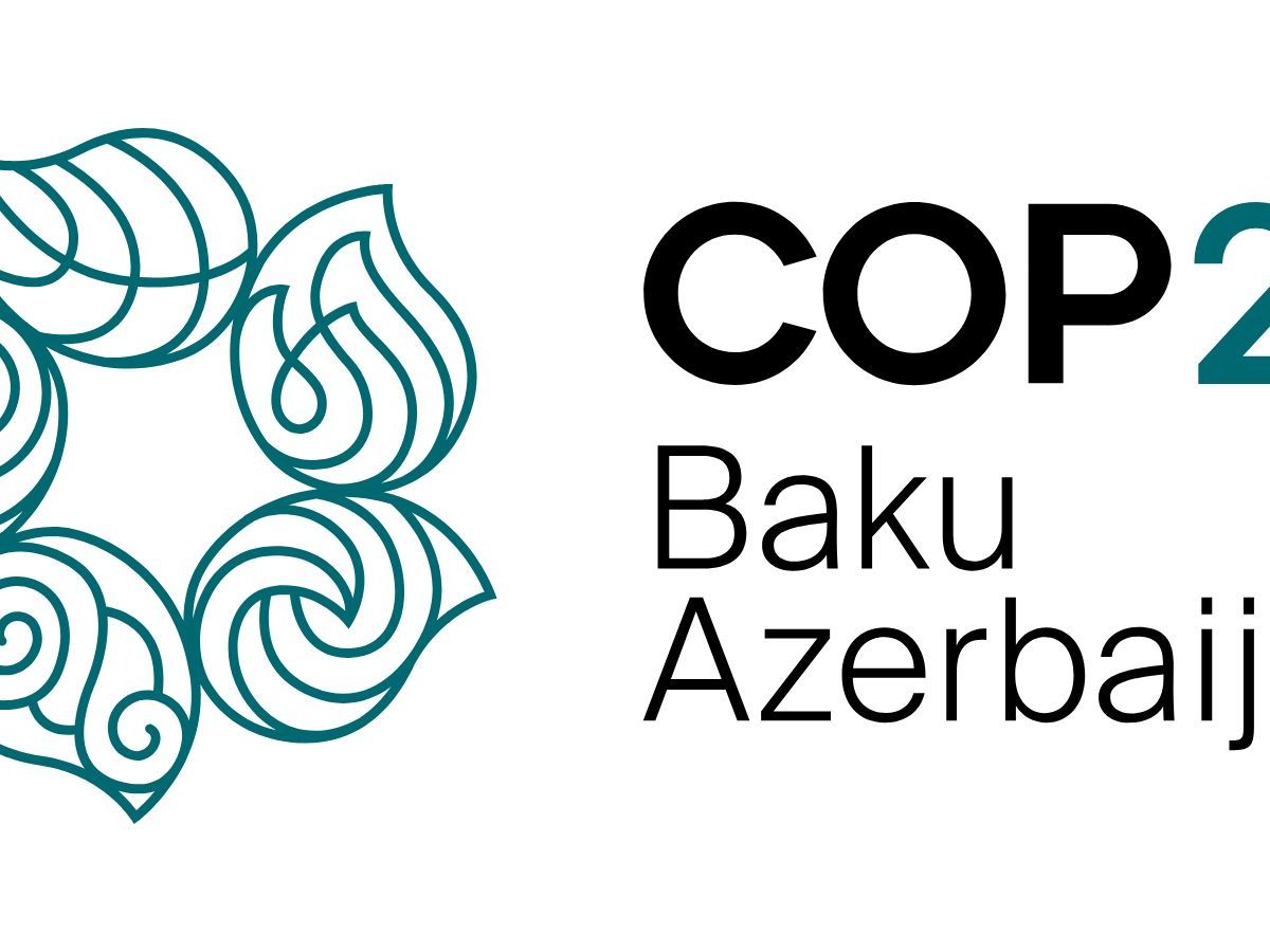 COP29: A Waste of&nbsp;Time?