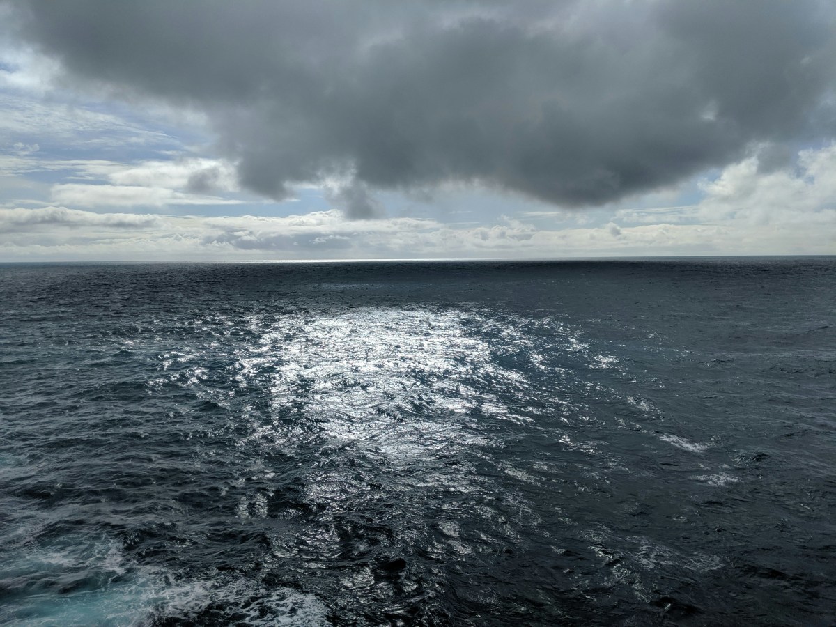 UK Ratifies High Seas Treaty – what does this&nbsp;mean?